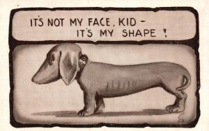 Vintage Postcard It's Not My Face Kid, Its My Shape Comical Dog Drawing Comic