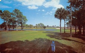 13th Hole - Par 3, The Country Club of Florida  
