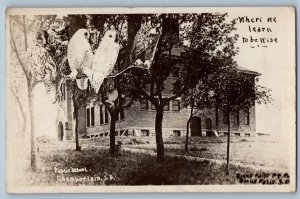 Chamberlain South Dakota SD Postcard RPPC Photo Public School Building Owls 1910