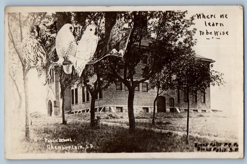 Chamberlain South Dakota SD Postcard RPPC Photo Public School Building Owls 1910