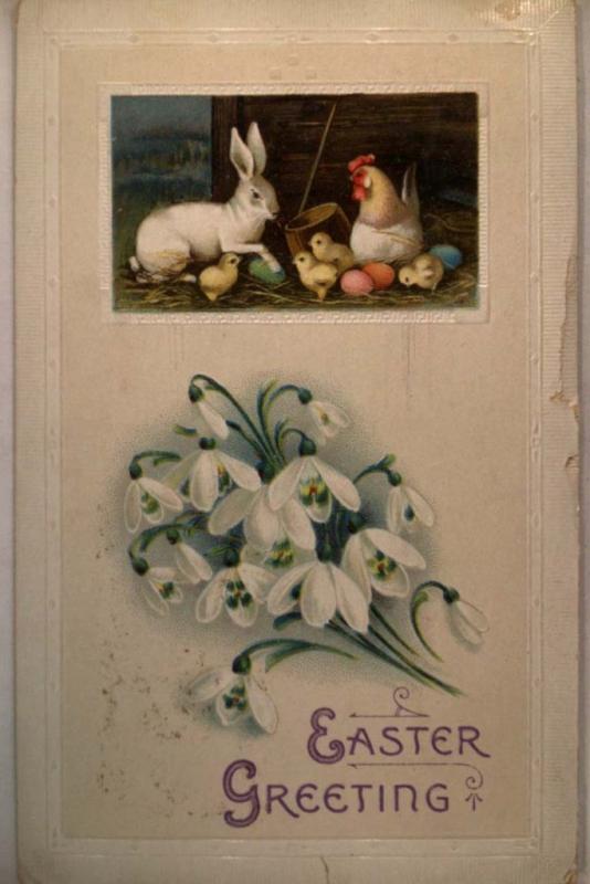 1913 Bunny Rabbit With Chicks & Eggs - Cute Easter Postcard y4456