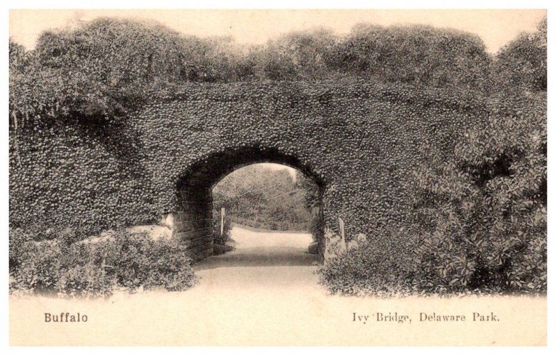 New York  Buffalo , Ivy Bridge , Delaware Park