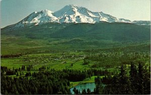 Mt Mount Shasta CA California Snow Capped Mountain VTG Postcard UNP Unused 