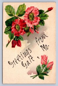 J96/ Galt Missouri Postcard c1910 Glitter Greetings from Galt Mo.  447