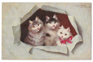 Three Kittens by Sophie Sperlich Unmailed Postcard, Langsdorf Co., Germany, Cats