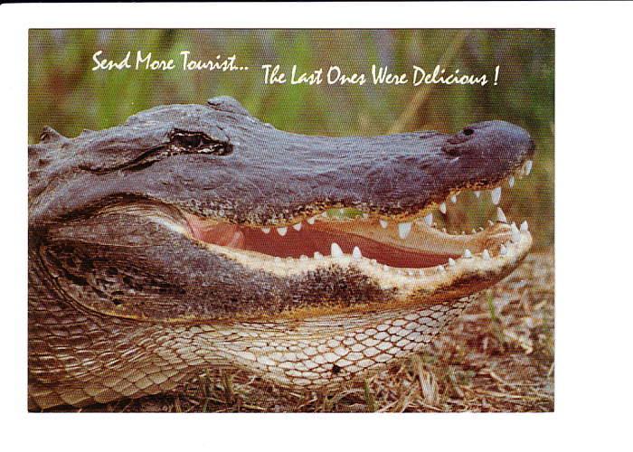 Alligator Head, Send More Tourists The Last Ones Were Delicious, Humour