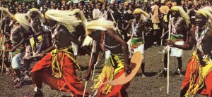 Watussi Dancers Uganda Giant Strip African Kampala Unique Postcard