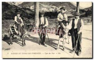 Postcard Old Country Pyrenees Types Folklore Donkey Mule