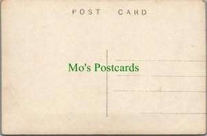 Malta Postcard - St Antonio's Garden  RS25391