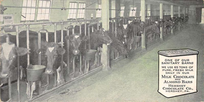 Hershey Pennsylvania Cows In Barn View, Hershey Chocolate CO. Chocolate Bar Car