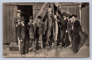 J90/ Sturgeon Bay Wisconsin Postcard c1910 Fishing Men Trophy 629