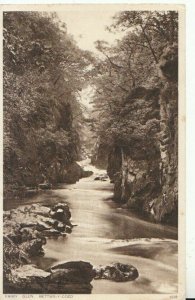 Wales Postcard-Fairy Glen, Bettws-Y-Coed, Caernarvonshire, Posted 1938 - TZ9503