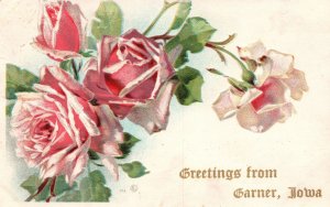 Vintage Postcard 1910's Greetings From Garner Iowa Flower Design Greeting Card