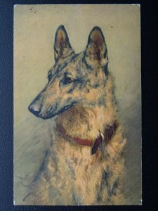 Dog Portrait - German Shepherd / Alsatian c1920's Artist Impression Postcard