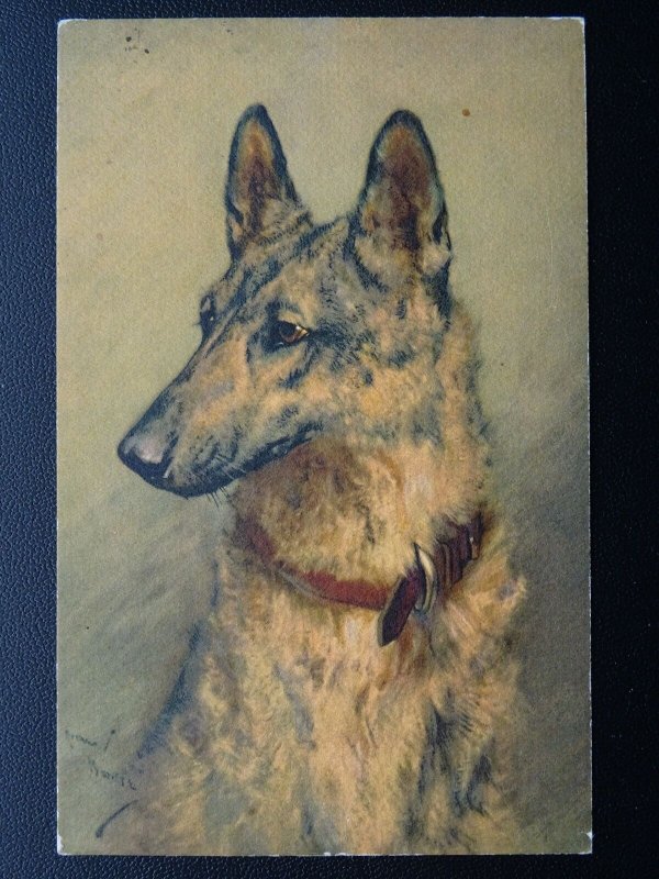 Dog Portrait - German Shepherd / Alsatian c1920's Artist Impression Postcard