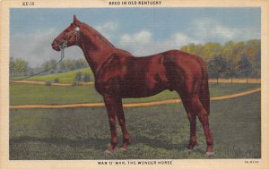 Bread an old Kentucky, man-of-war the wonder horse Old Kentucky Kentucky  