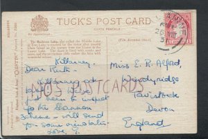 Family History Postcard - Alford - Windyridge, Tavistock, Devon, England RF4949 
