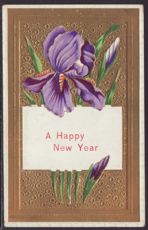 A Happy New Year,Iris