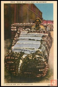 Bales of Cotton Ready for Shipment