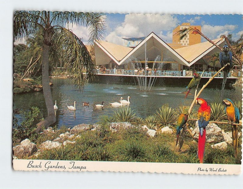 Postcard Busch Gardens, Tampa, Florida