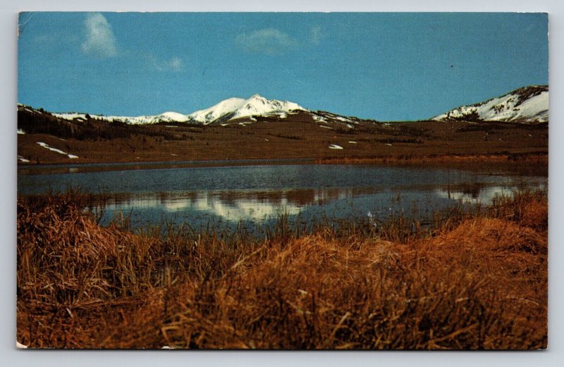 Electric Peak Yellowstone National Park Wyoming Vintage Posted 1977