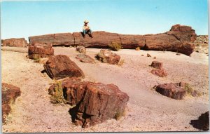 postcard Arizona - Petrified Forest - man sitting on tree