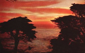 Vintage Postcard 1959 Sunset on the Pacific Glowing Rays of the Setting Sun