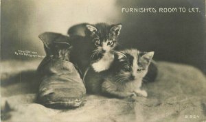 C-1910 Furnished room to let cats Shoes Rotograph RPPC Photo Postcard 22-1092