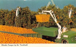 Florida Oranges by the Truckloads  