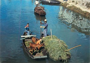 Postcard ethnic French traditions folklore costumes Venise VErte