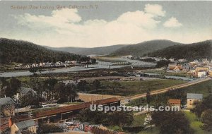 Birds Eye View - Callicoon, New York NY  