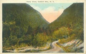 Catskills Mountains New York Stony Clove White Border Postcard