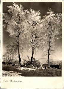 Postcard Switzerland Christmas Frohe Weihnachten Snow Trees