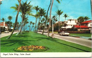 USA Royal Palm Way Palm Beach Florida Postcard 03.47