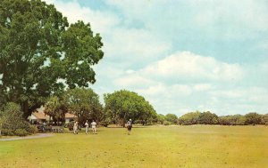 GA, Georgia  SEA ISLAND GOLF COURSE At Retreat Plantation  GOLFERS  Postcard