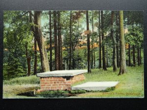 Macclesfield Maggoty Wood GAWSWORTH Johnson's Grave c1906 Postcard by W.H.