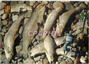 Postcard Modern Valls d'Andorra Trout