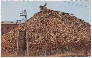 Pulpwood Pile - Common in Maine for Paper Manufacturing