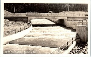 RPPC  BONNEVILLE DAM, WA/OR  Columbia River FISH LADDER  c1940s Fishing Postcard