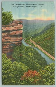 Pennsylvania~Canyon From Bradly Wales Lookout~Grand Canyon~Vintage Postcard