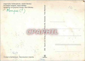 Postcard Modern Hungarian full blooded horses Stud S�tveny