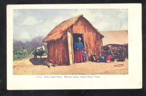 CORPUS CHRISTI TEXAS MEXICAN JACKAL RUSTIC HOME VINTAGE POSTCARD