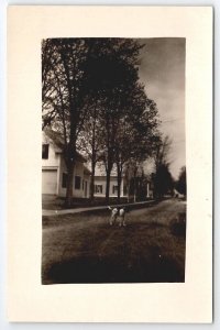 RPPC Springfield VT Vermont Cute Puppy On Dirt Road Street Of Homes Postcard B33