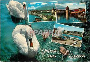 Postcard Modern Grusse aus Luzern Swans