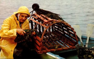 Massachusetts Cape Town Fisherman With Prize Of His Catch