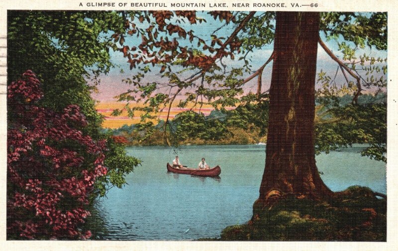 Vintage Postcard 1939 A Glimpse of Beautiful Mountain Lake near Roanoke Virginia