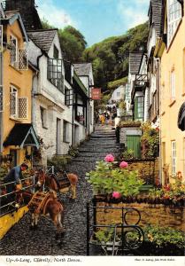 B102480 up a long clovelly north devon donkey    uk