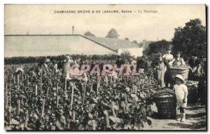 Old Postcard Folklore Harvest Vine Champagne Briere & De Reims Labaume