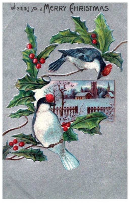 Christmas , Bluebirds , Bird