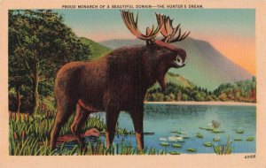 Bull Moose Alaska Linen Postcard 2R4-599